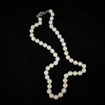 676330 Pearl necklace